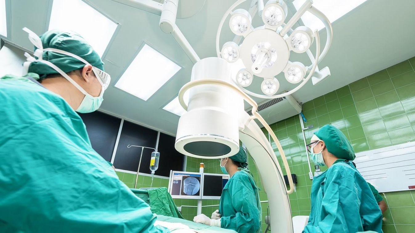 Itt van Zente utódja: Szabó Zsófi gyűjt Levi génterápiájára
