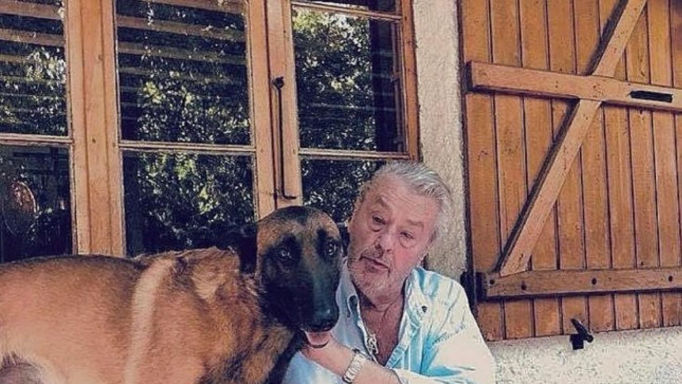 Magányosan éli napjait Alain Delon