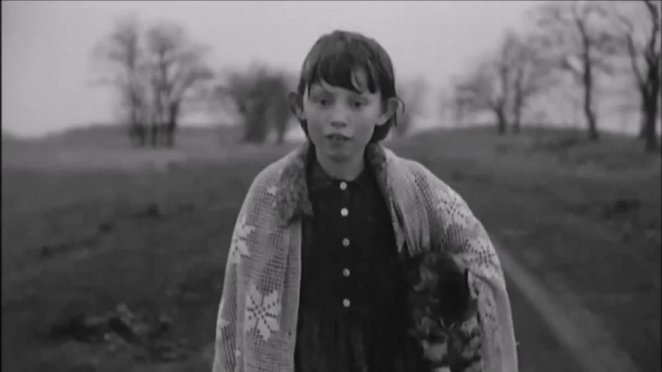 Az amerikai filmakadémia két magyart is hívott tagjai közé