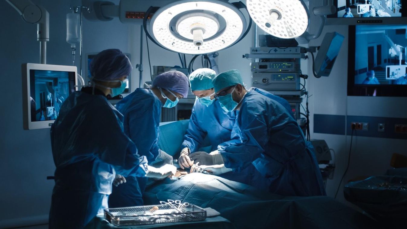 Elsőként ültettek át őssejtekből nyert szívizomszövetet