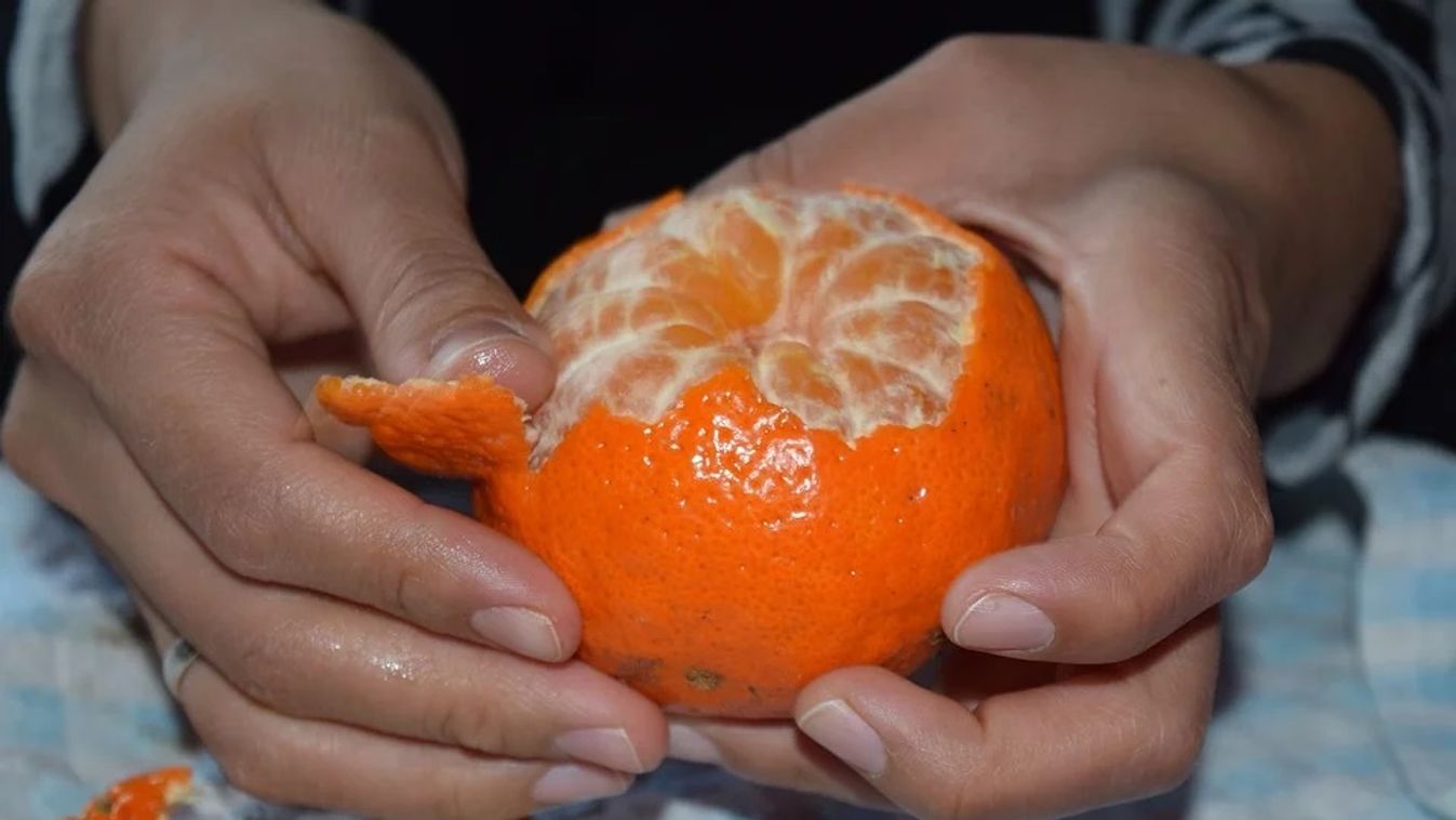 Ezért ne dobja ki a mandarin héját