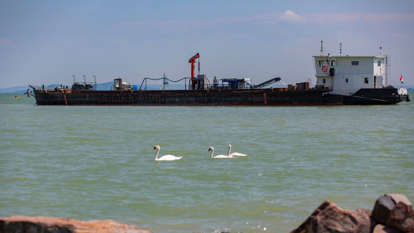 Algásodást jeleztek a Balaton északnyugati partjainál