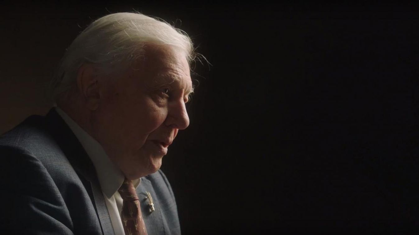 Sir David Attenborough: adjuk az állatoknak az oroszlánrészt!