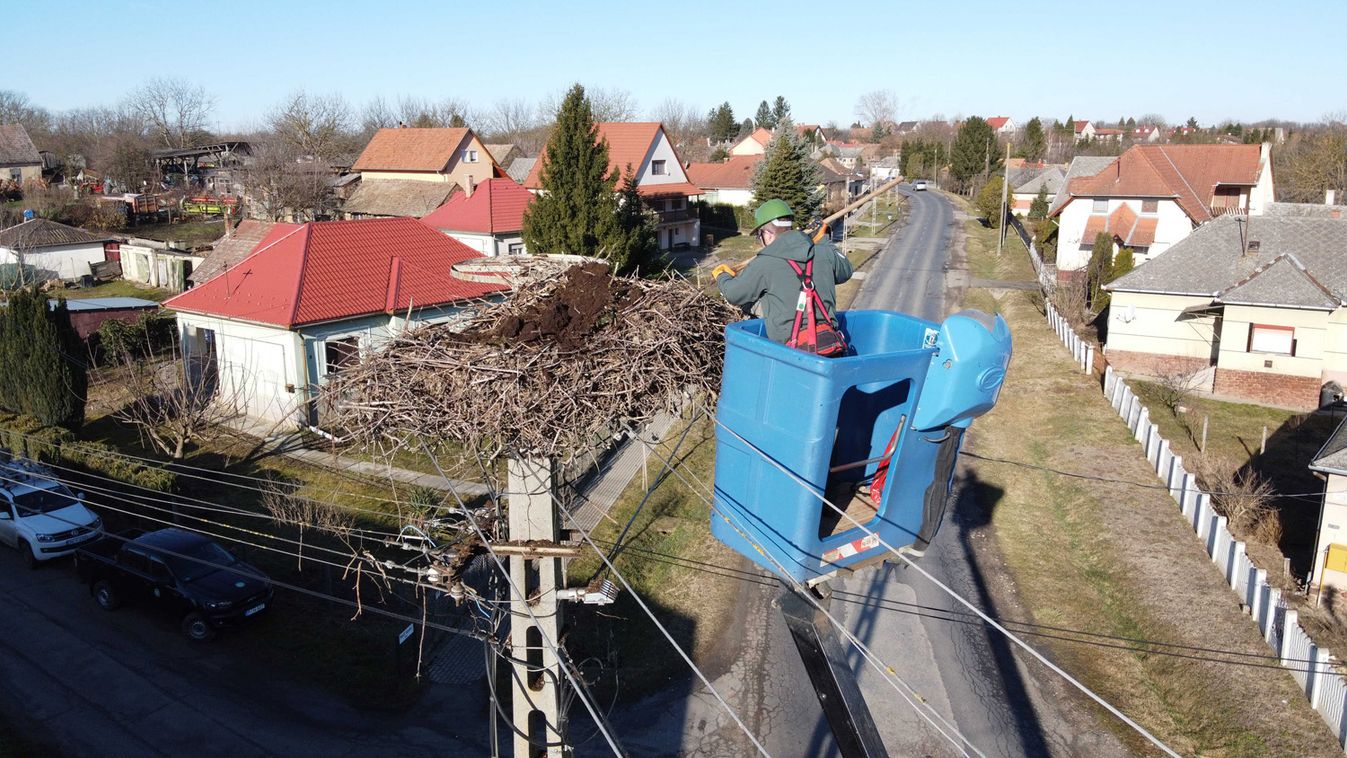 Csaknem 4500 fészektartóval várja az E.ON a gólyákat (videó)