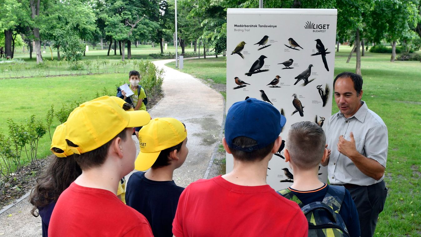 Liget Budapest: átadták a Madárbarátok Tanösvényét a fővárosban