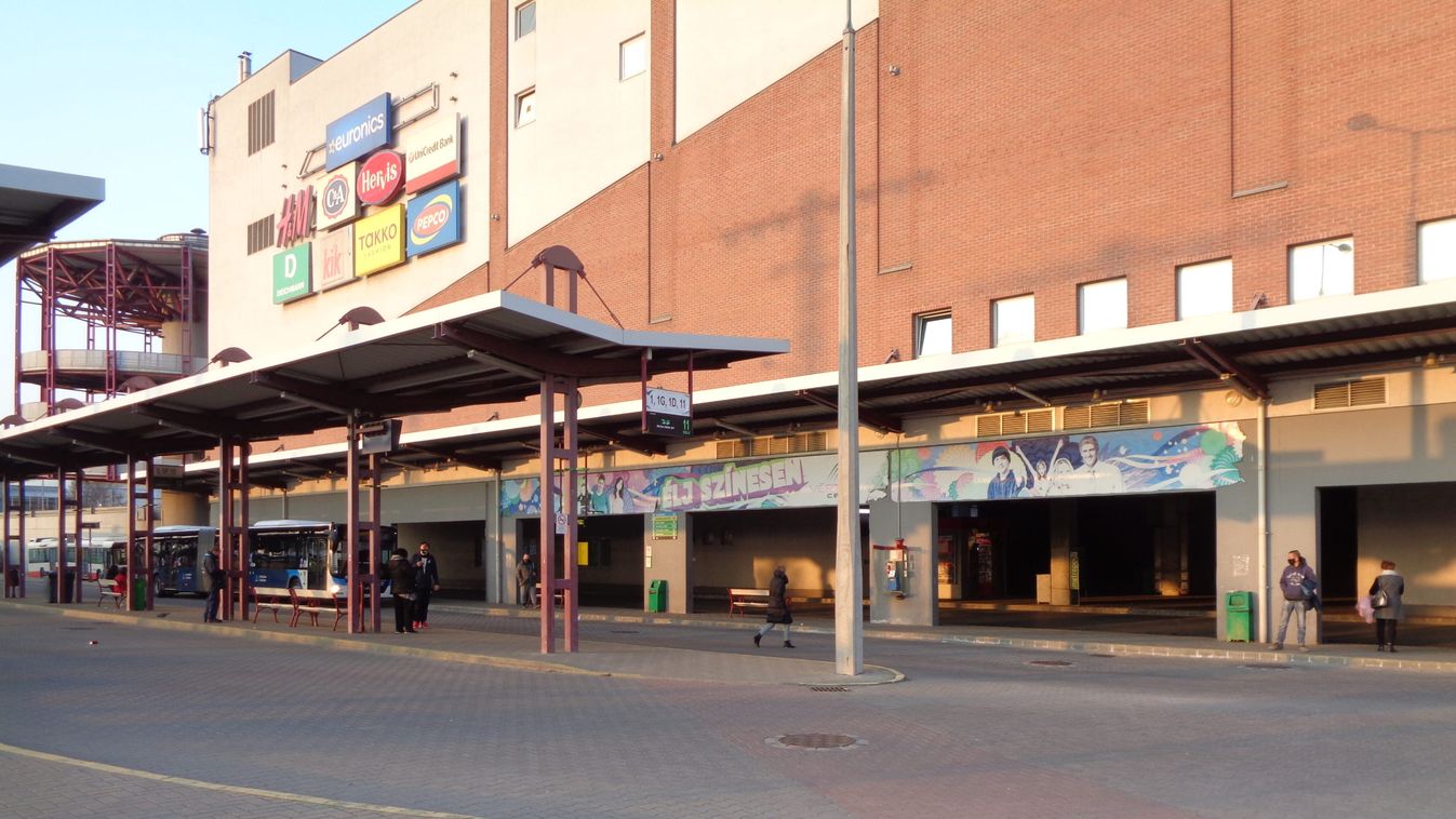 Még több busz megy Tatabányáról és Oroszlányból a Balatonhoz