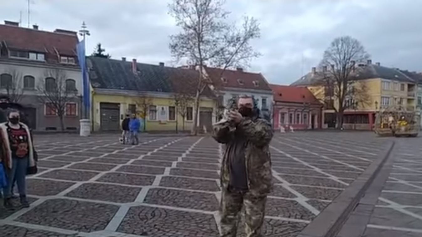 Az esztergomi főtéren engedték szabadon a gyógyult lábú macskabaglyot