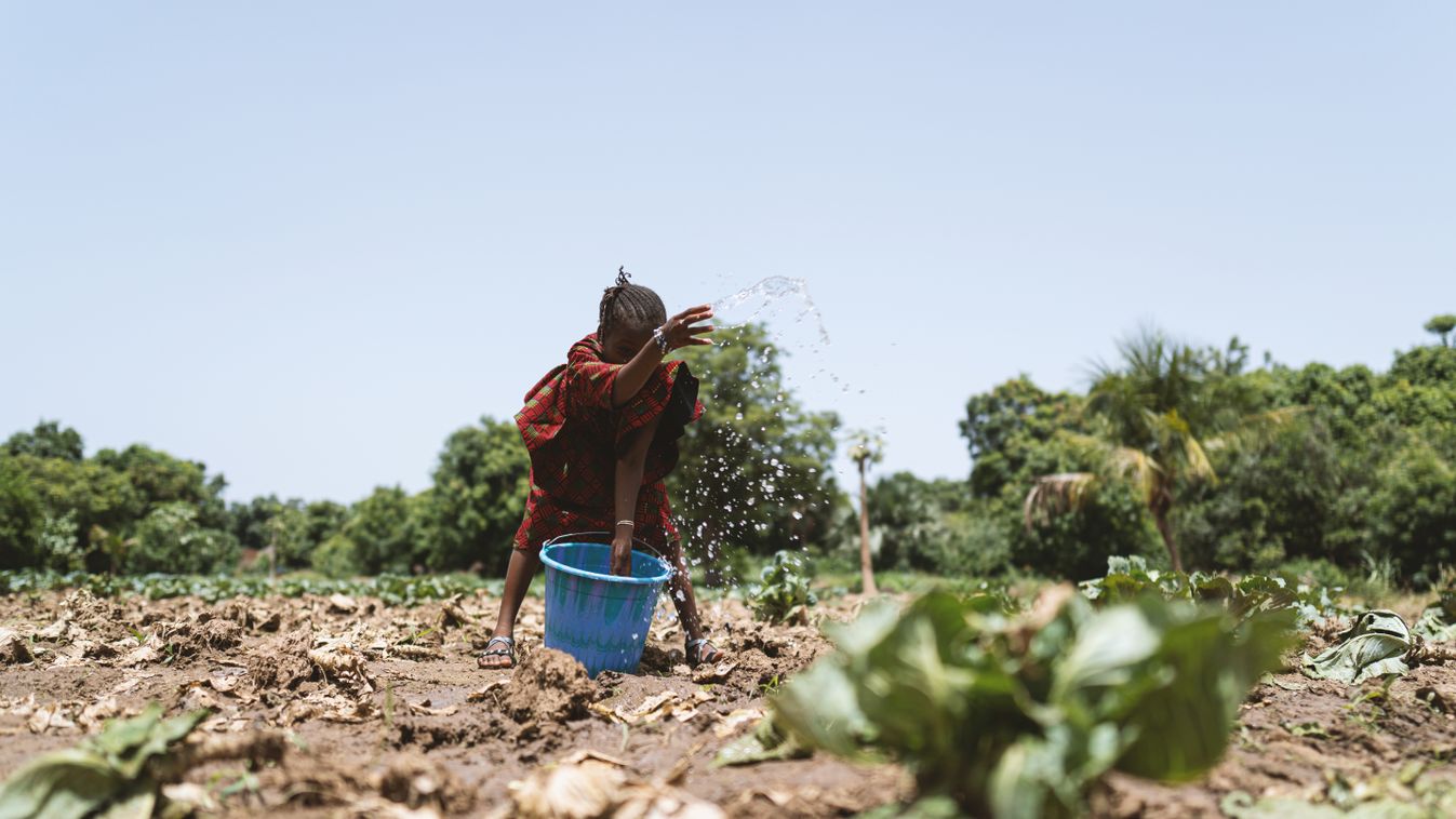 Az első klímaváltozás okozta éhínség pusztít Madagaszkáron