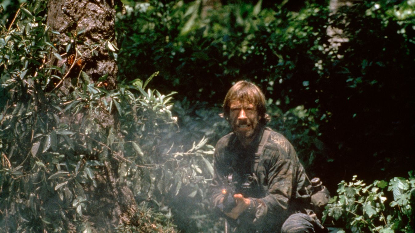 Millió dolláros fák alatt hűsöl Chuck Norris