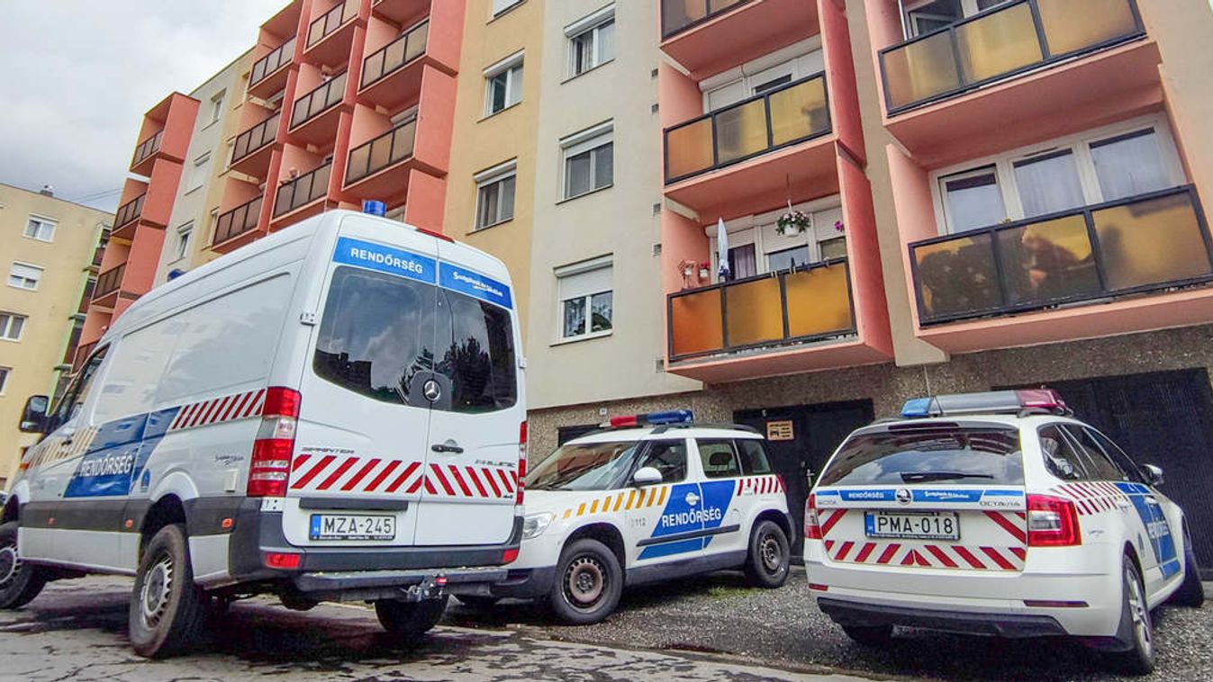 Felfoghatatlan fájdalom: halott kisbabát találtak egy lakásban