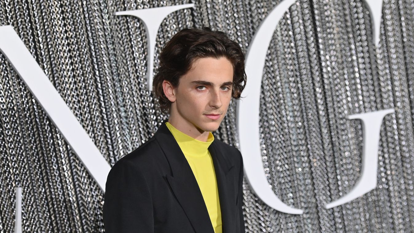Timothée Chalamet és Gal Gadot is ad át díjat az Oscar-gálán