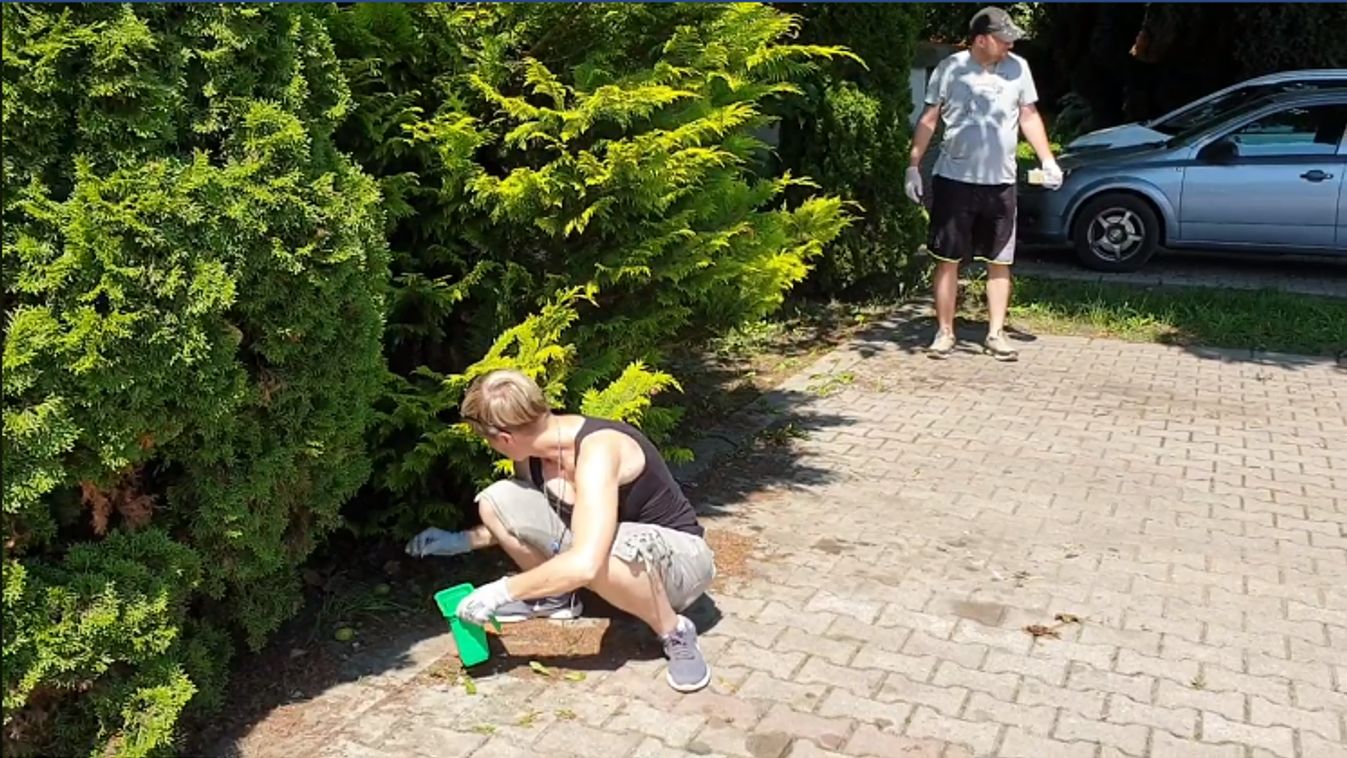 A Szemétirtók újabb akciója révén a dorogi kórház parkja tisztulhatott meg