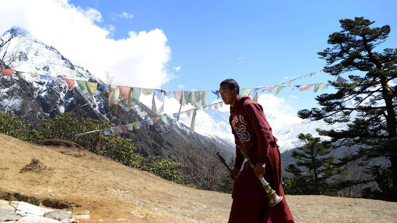 Egyre több növény él a Mount Everest térségében