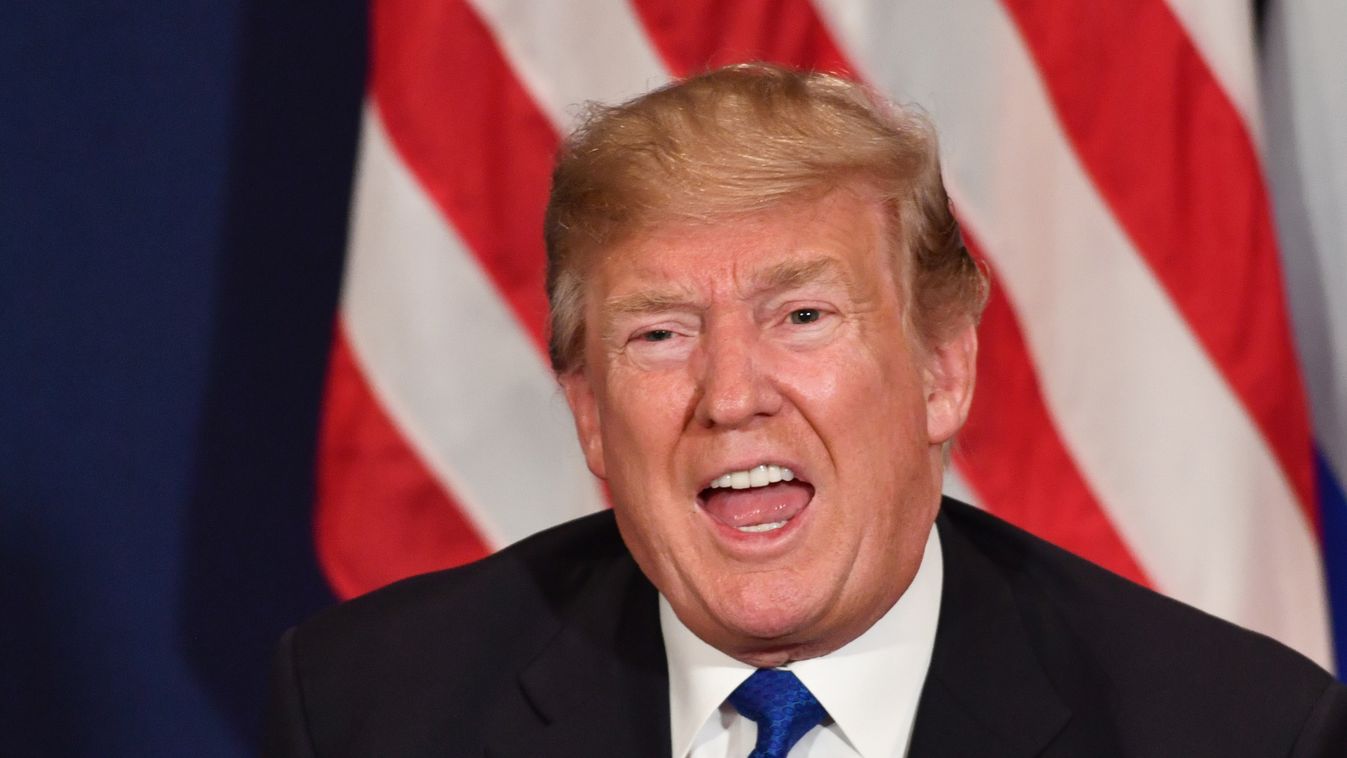 Aranyvécét ajánlottak Trumpnak a kért Van Gogh-festmény helyett