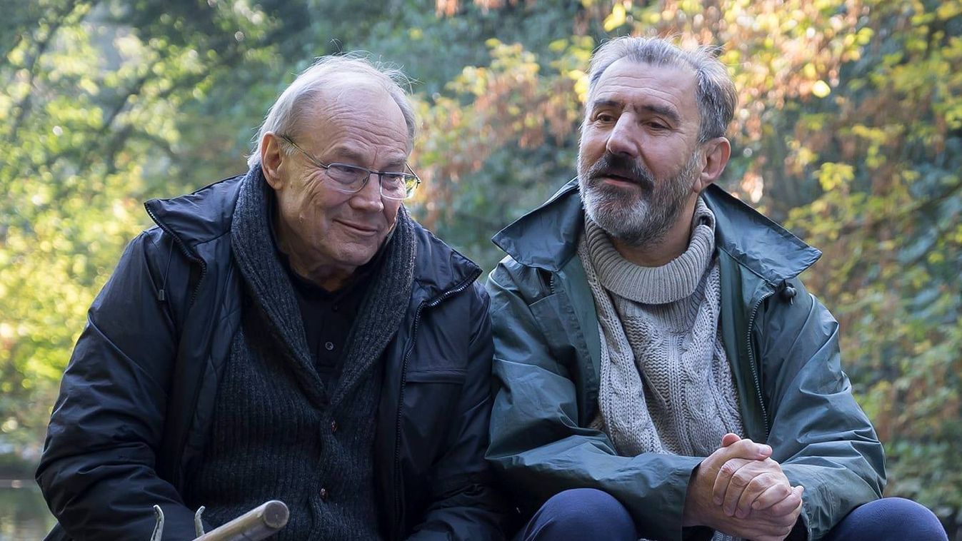 Újabb neves elismerést gyűjtött be az Oscar-díjas magyar rendező