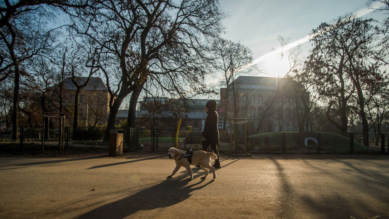 Liget Budapest: elkészült a botanikus kert, a kutyás élménypark és a futókör (videó)