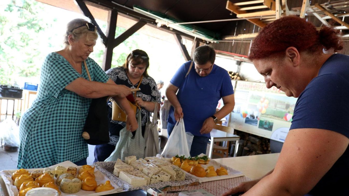 Piacot nyitottak a mozgáskorlátozottak