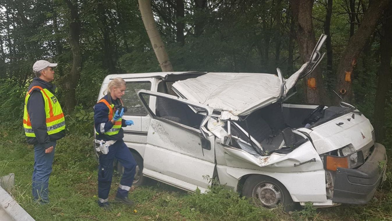 Testvérei mellett halt meg a 23 éves lány a fának csapódó kisbuszban