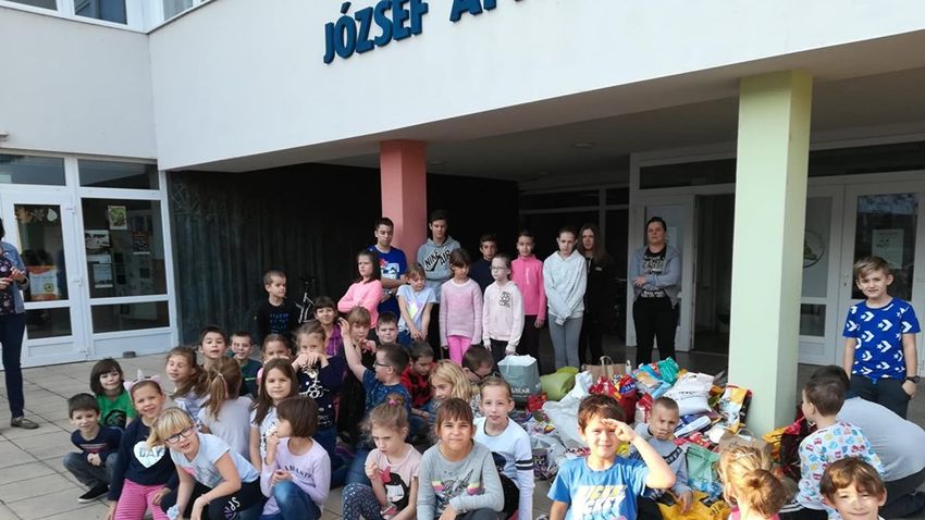 KEMMA Menhelyi Kutyusoknak Gy jt ttek Az Esztergomi kosuli Di kjai