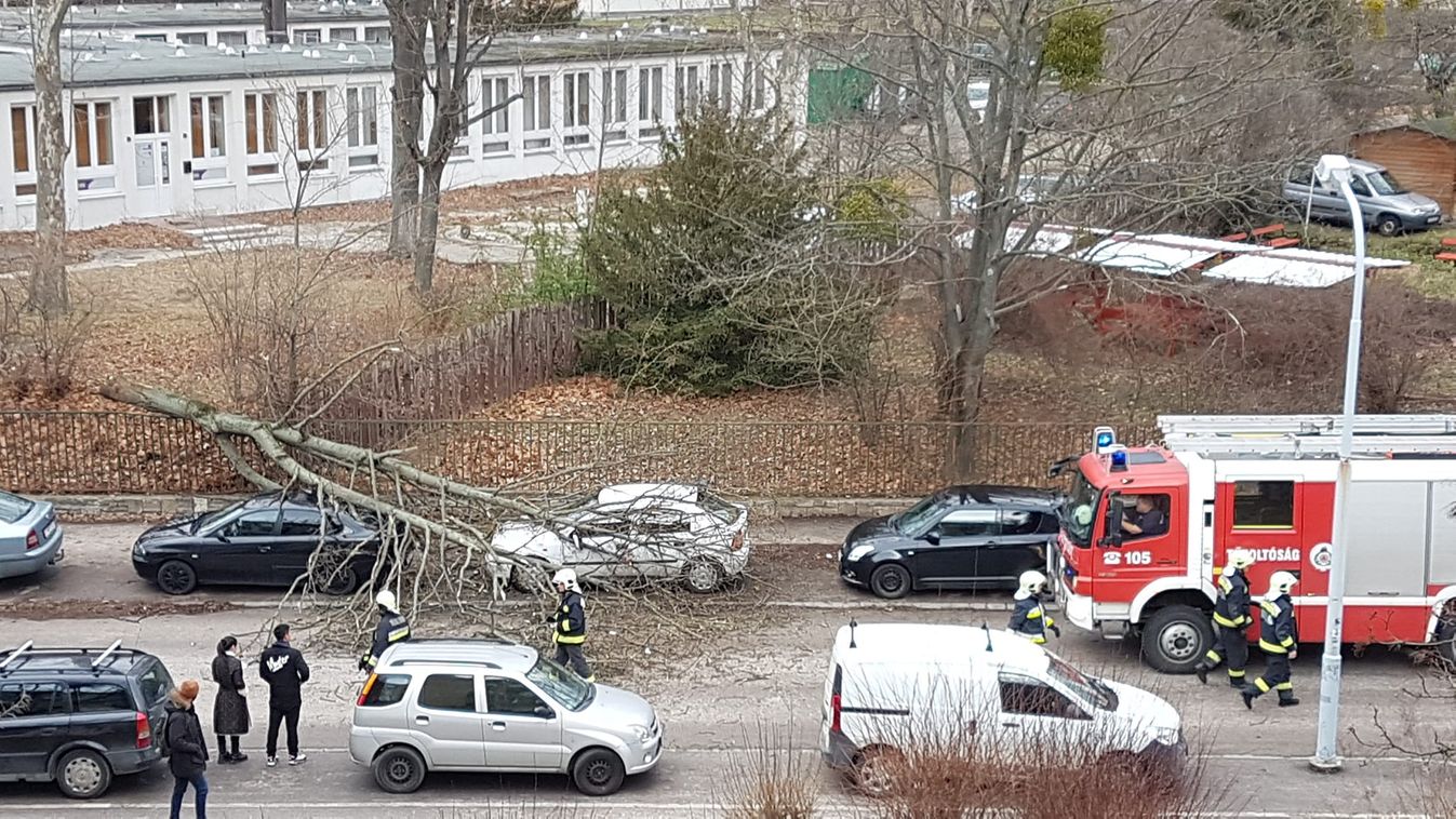 Durva viharkárok megyeszerte: Tatabányán fák dőltek autókra
