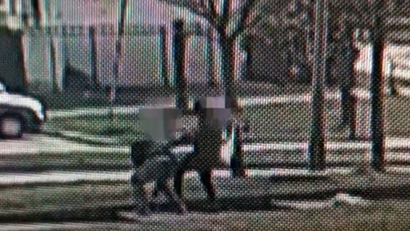 A telefonfülke, a pacal meg a kenőmájas - videón az év legabszurdabb bűnügye Tatabányáról