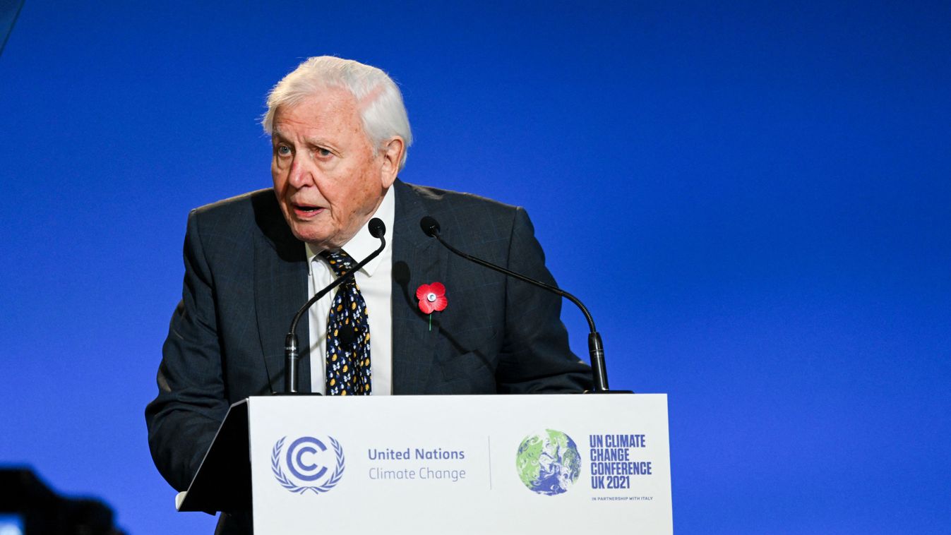 David Attenborough természettudóst a Föld bajnoka címmel tüntette ki az ENSZ