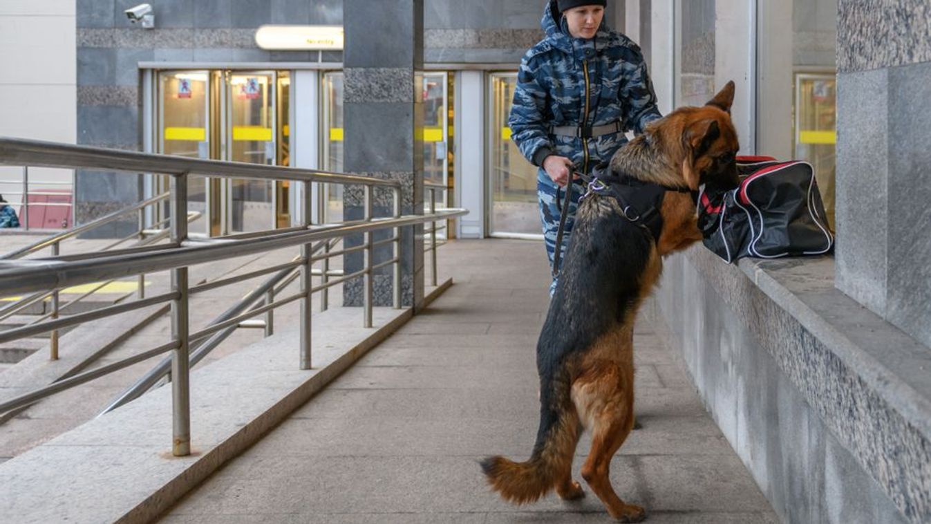Nagy erőkkel keresi a rendőrség a bombariadók okozóját