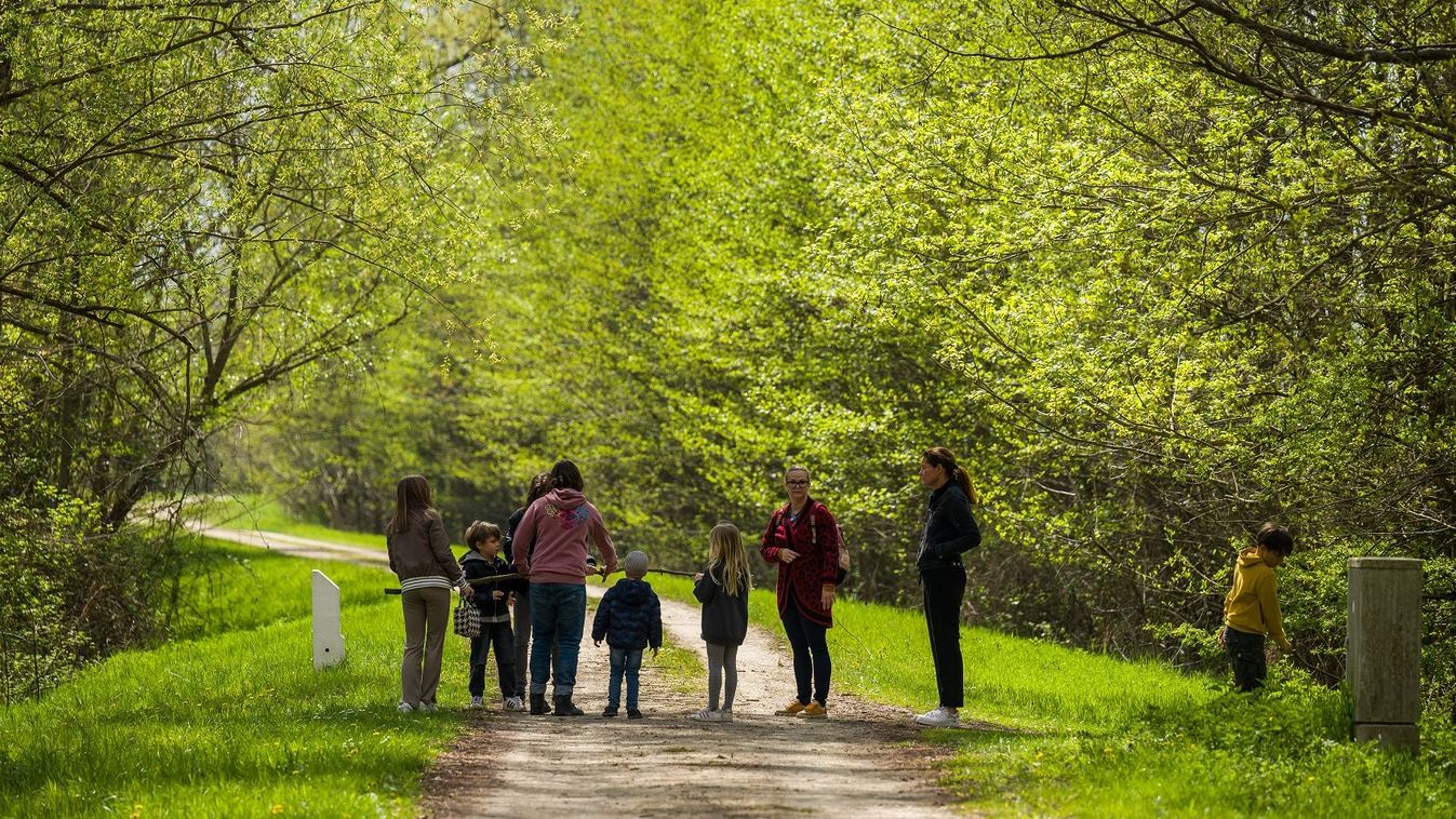 Agrárminisztérium: nincs szó eladásról, állami kézben maradnak az állami erdők