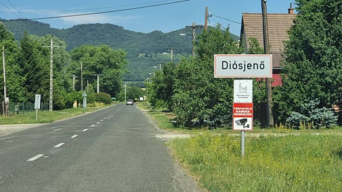 A nevelőapát gyanúsítják a Diósjenőn holtan talált lány ügyében