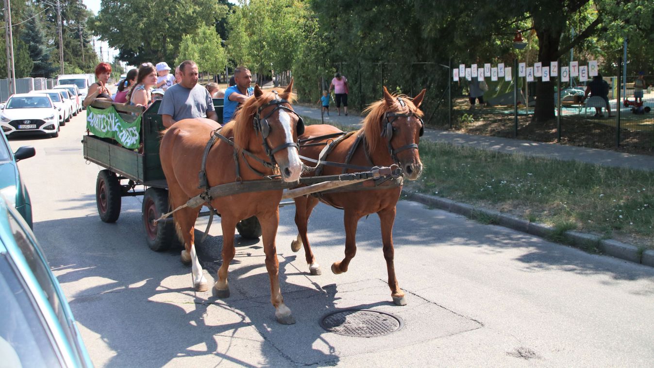 Az anyatejes táplálás világnapját ünnepelték Esztergomban