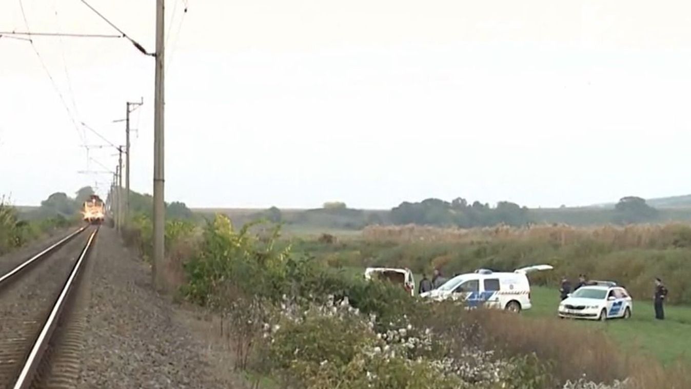 A sínekre szaladó kutyáját próbálta megmenteni egy nő, amikor halálra gázolta a vonat Pincehelyen