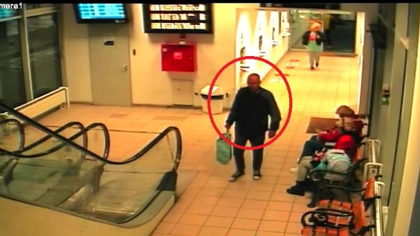 Ha felismered ezt a kopasz tatabányai jómadarat, azonnal hívd a zsarukat