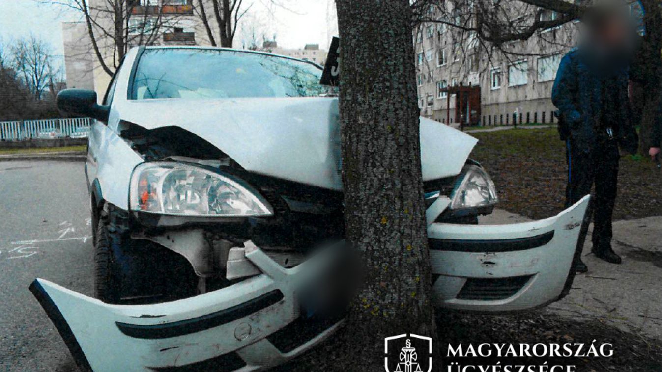 A fa állította meg a részeg sofőrt Oroszlányban - helyszíni fotók