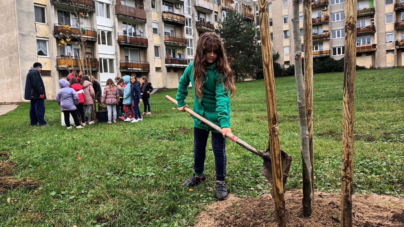 A legkisebb tatabányaiak ültették el a jövőt a VárosFa Programban