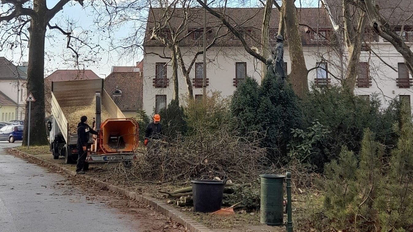 Gyalogosok, biciklisek, autósok, csak óvatosan! Vágják a fákat Tatán