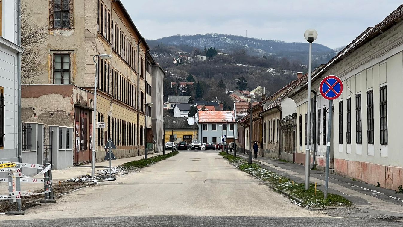 Új fasorral bővül Esztergom belvárosa