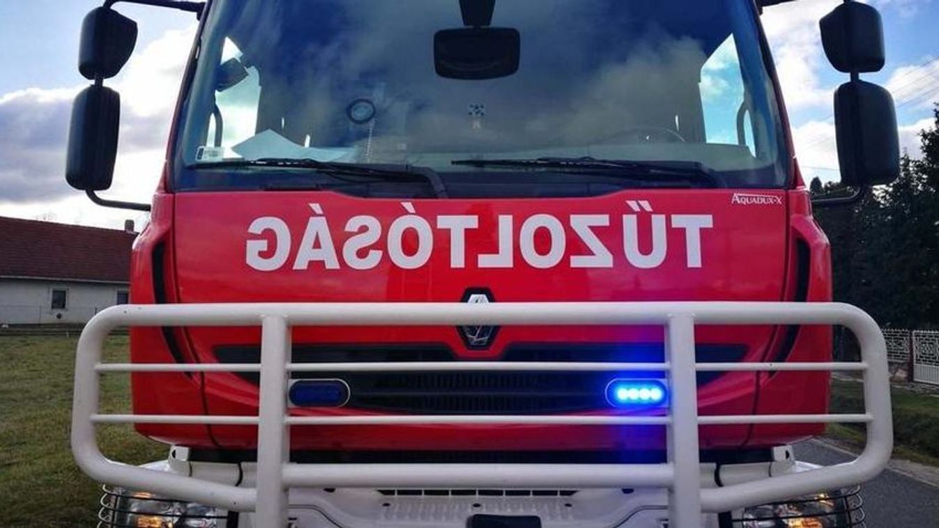 Kidőlt fa okozott fennakadást az 1-es úton