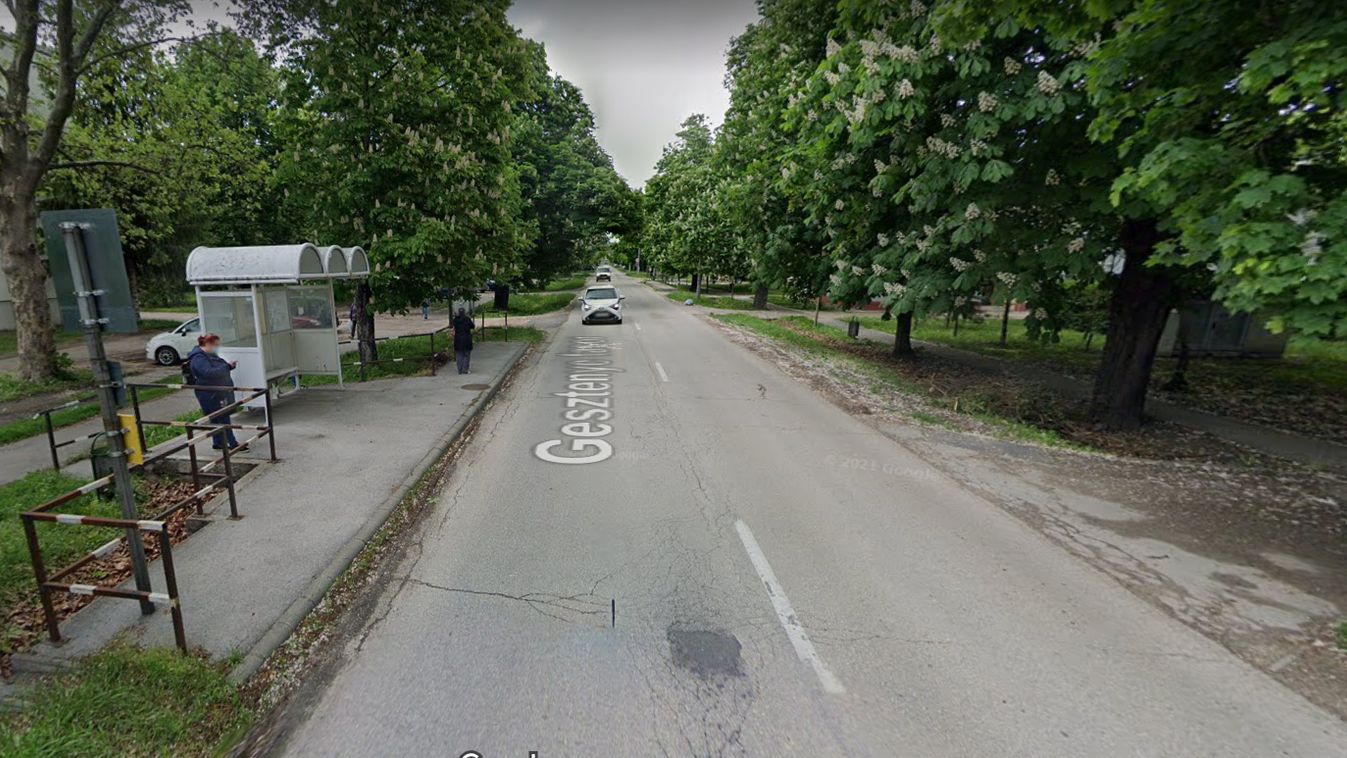 Ezért van hónapok óta lezárva Tatán a Gesztenye fasor