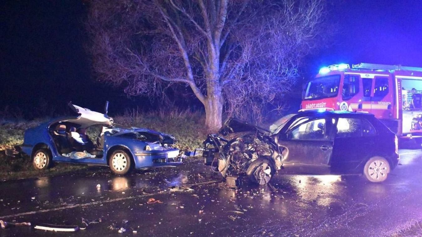 Először vaddal, majd a szembejövővel ütközött az autós Tatabánya és Környe között (fotók)