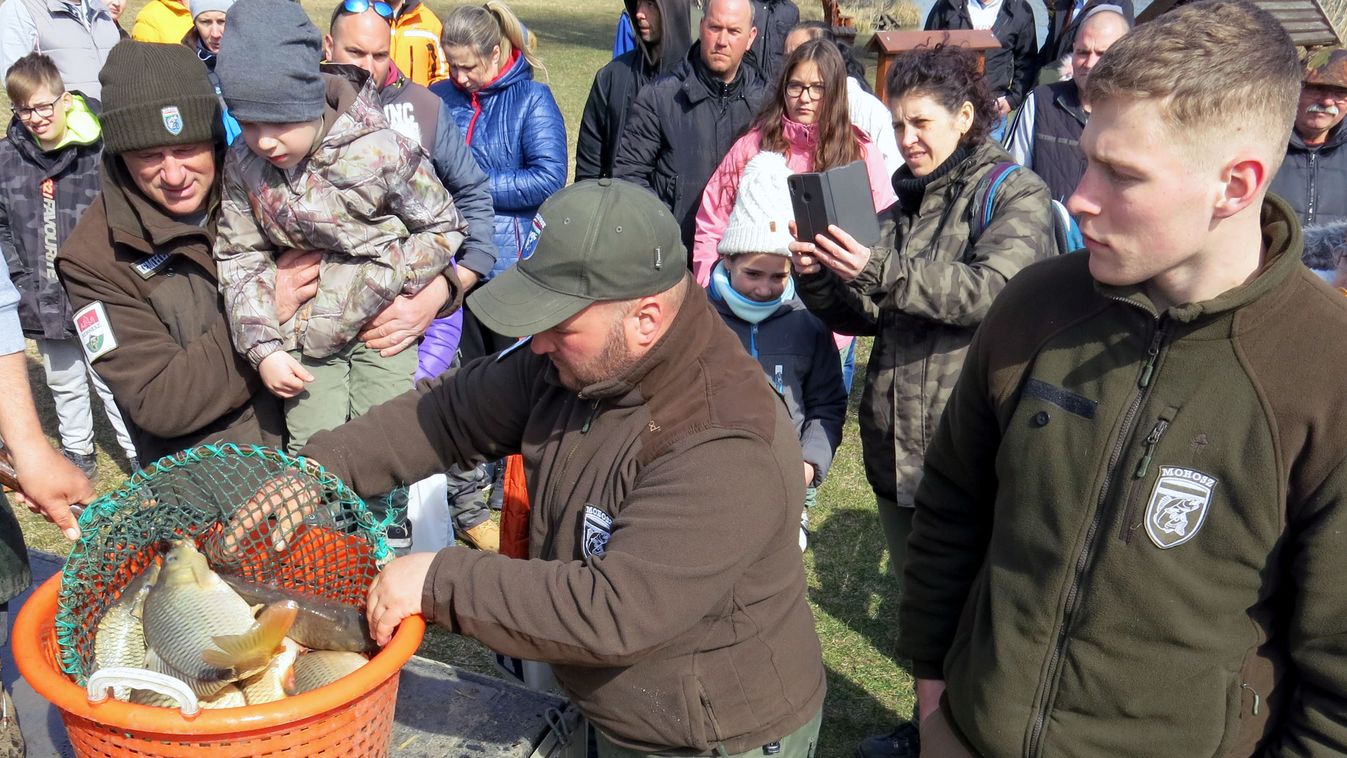 Halat nevelnek jövőre a tatai Réti-tóban