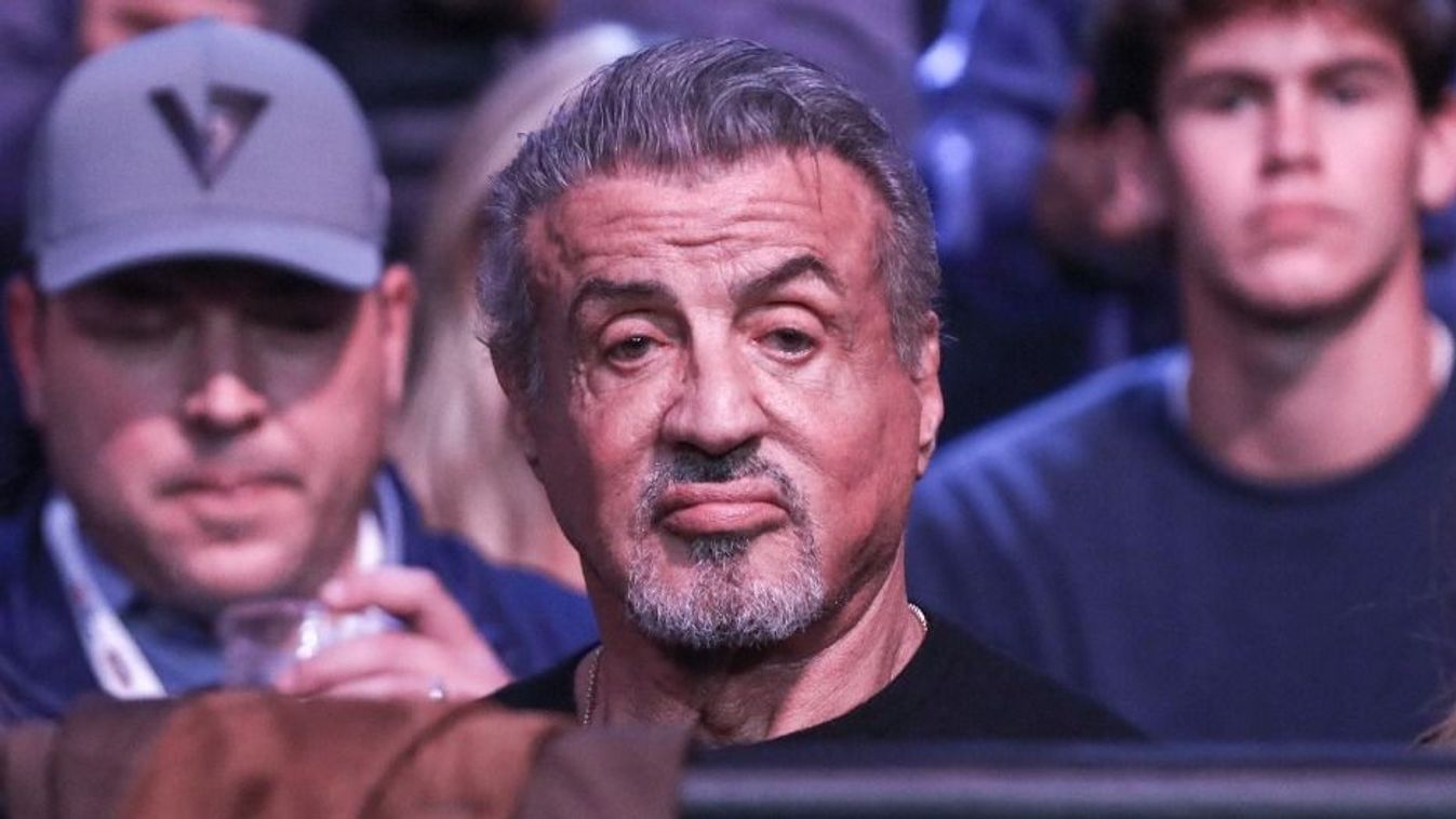 A vb Coelhója lett Sylvester Stallone