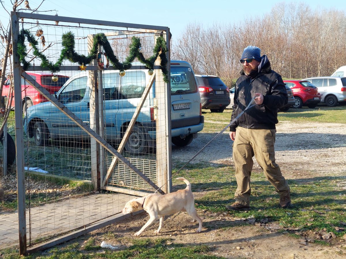 Karácsonyi kutyasétáltatás a Komáromi Rex Állatvédő Egyesületnél