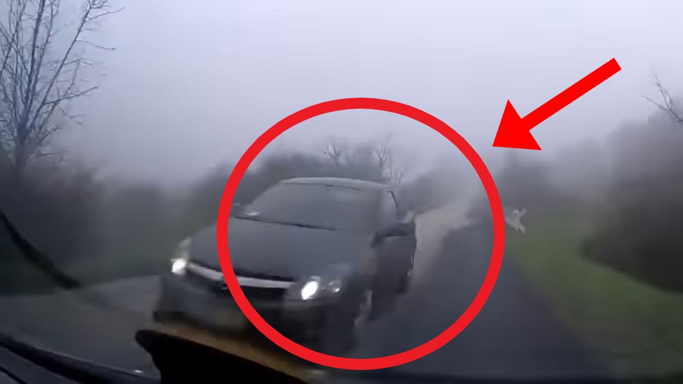 Halálközeli élmény a Bakonyban: majdnem telibe kapta a Skodát a szembejövő (videó)