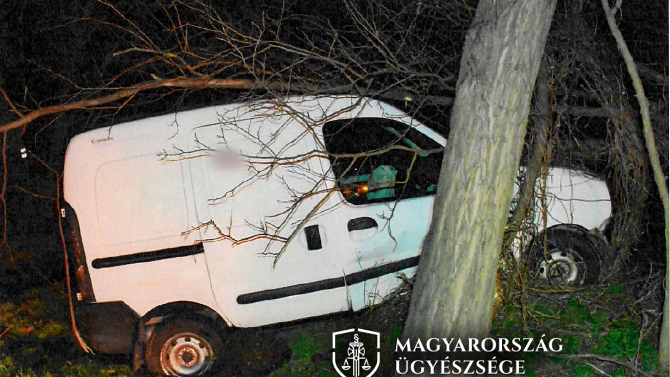 A neszmélyi buli után ellopta ismerőse kocsiját, majd részegen fának ütközött
