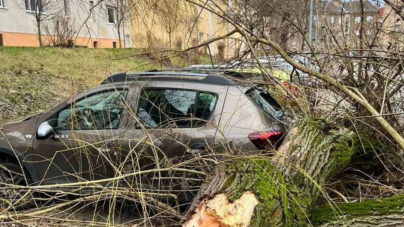 Fotókon a szombati orkán pusztítása: épületre és távvezetékre is dőlt fa