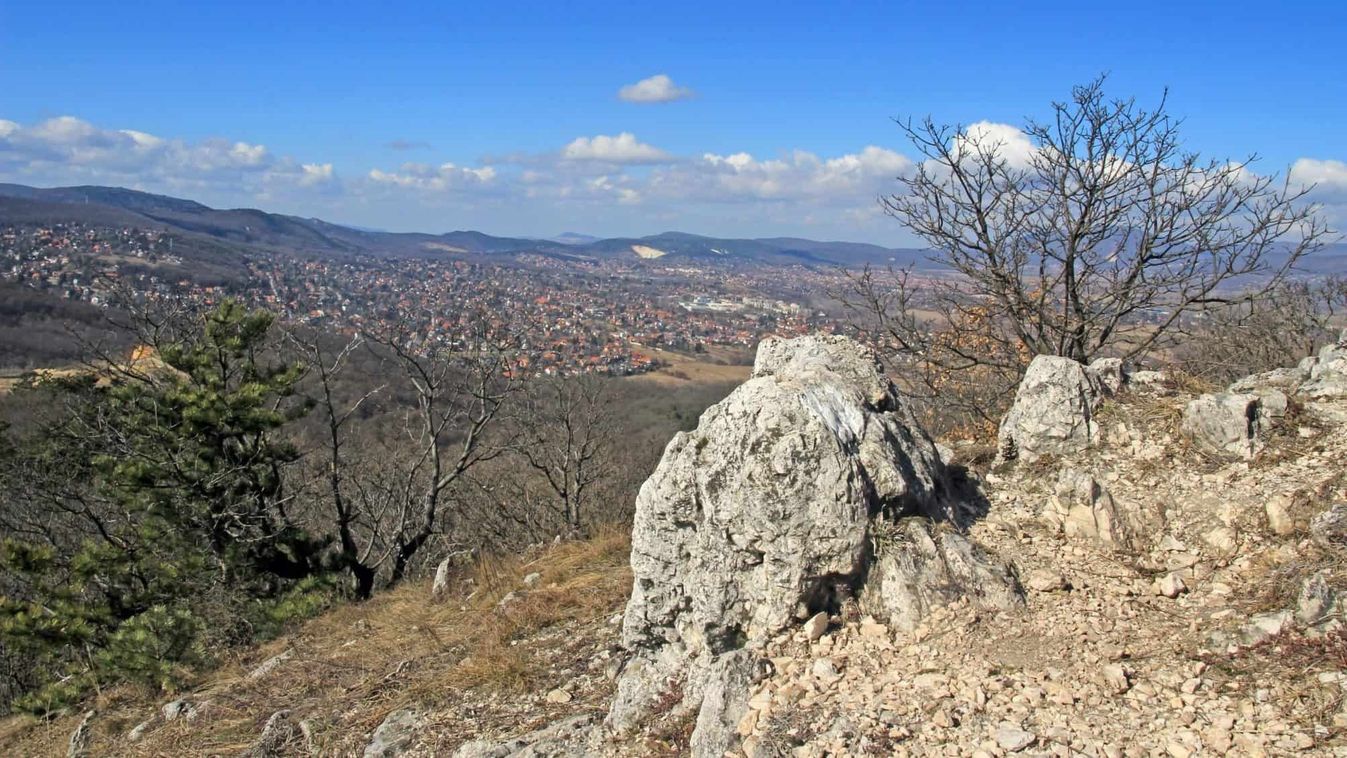 Bő egy hetetek van, hogy teljesítsétek a Pilisi Parkerdő kihívását