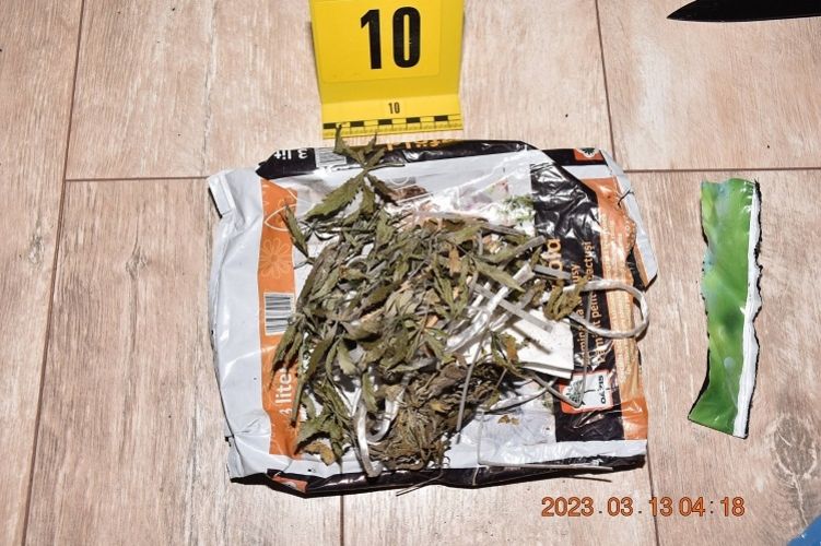 Bántalmazta élettársát a férfi, ezért vonultak ki a rendőrök a lakására, ahol marihuánát és annak termesztéséhez szükséges eszközöket találtak.