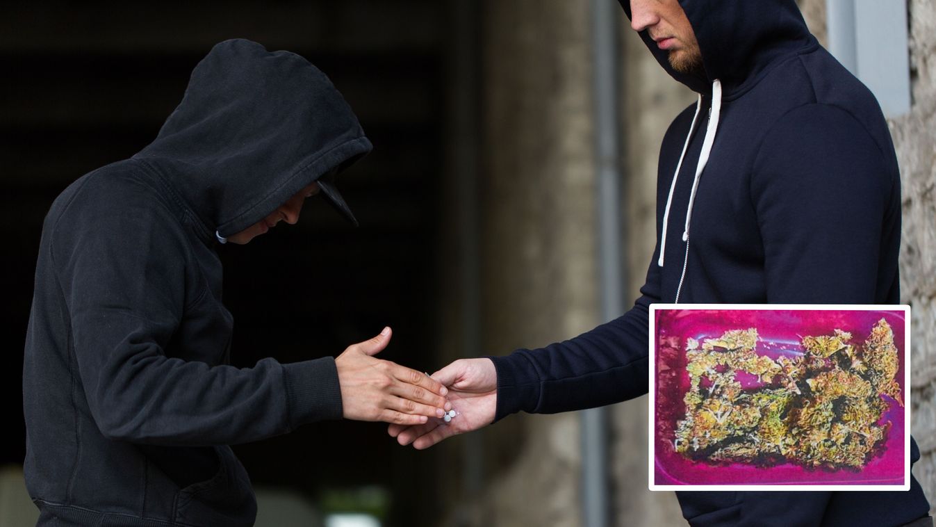 Vette is, adta is a drogot a tatabányai díler - bíróságon nyal vissza a biznisze