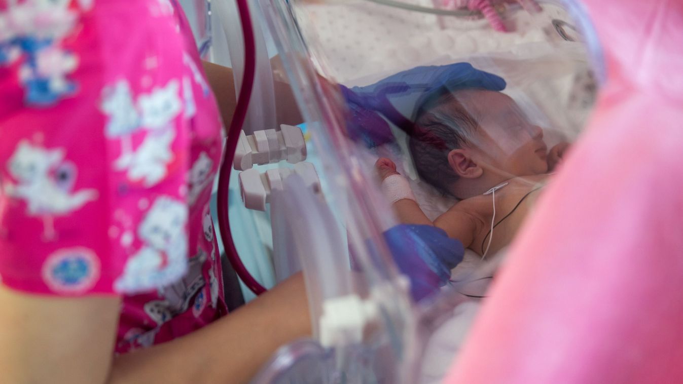 Fontos intézménnyel bővült a hazai magánegészségügy, az állami szakorvosképzésben is szerepet vállal (videó)