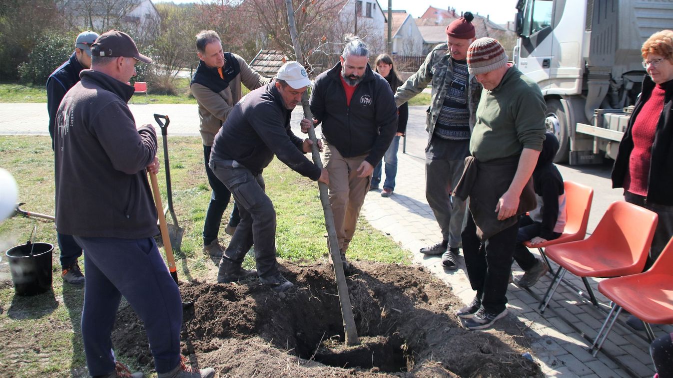 Szikla-forráshoz kirándultak, platánfát ültettek a parkban Máriahalmon